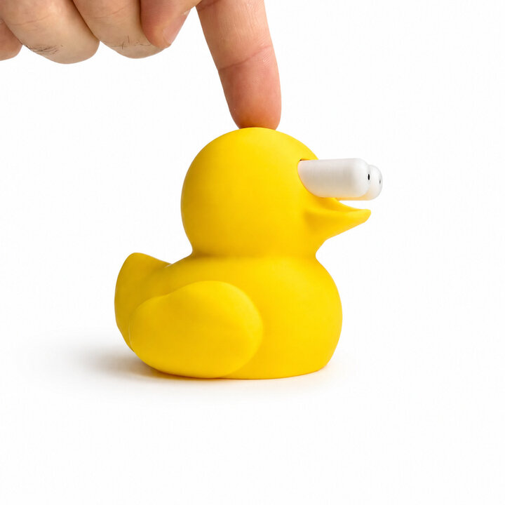 Canard décoratif amusant